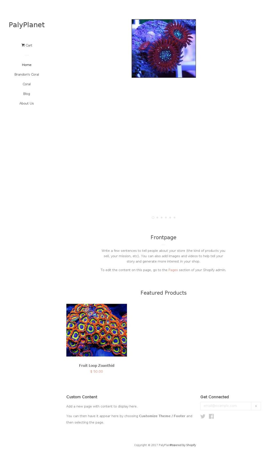 palyplanet.com shopify website screenshot
