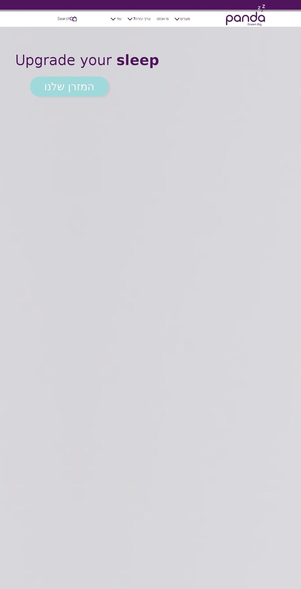 pandazzz.com shopify website screenshot