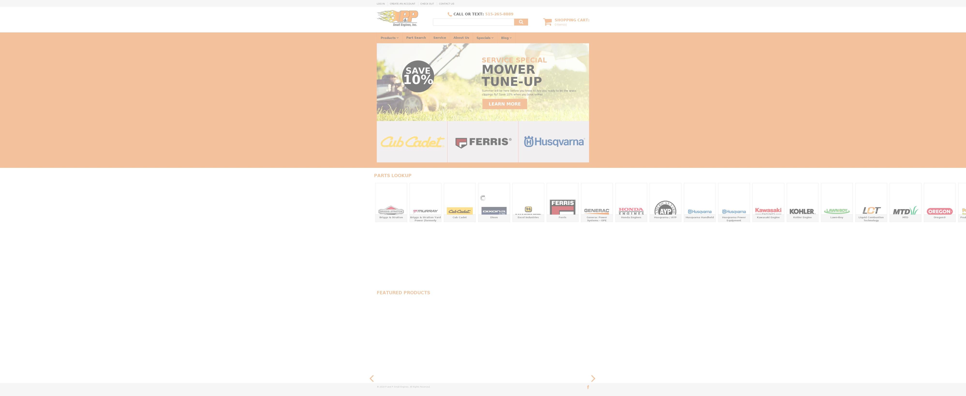 pandpsmallengines.com shopify website screenshot