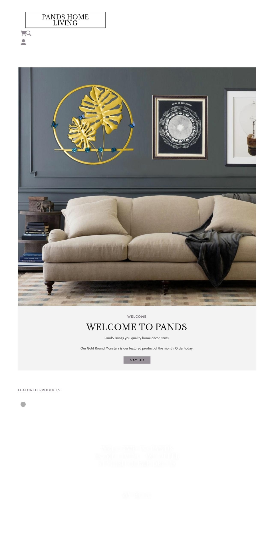 pands.online shopify website screenshot