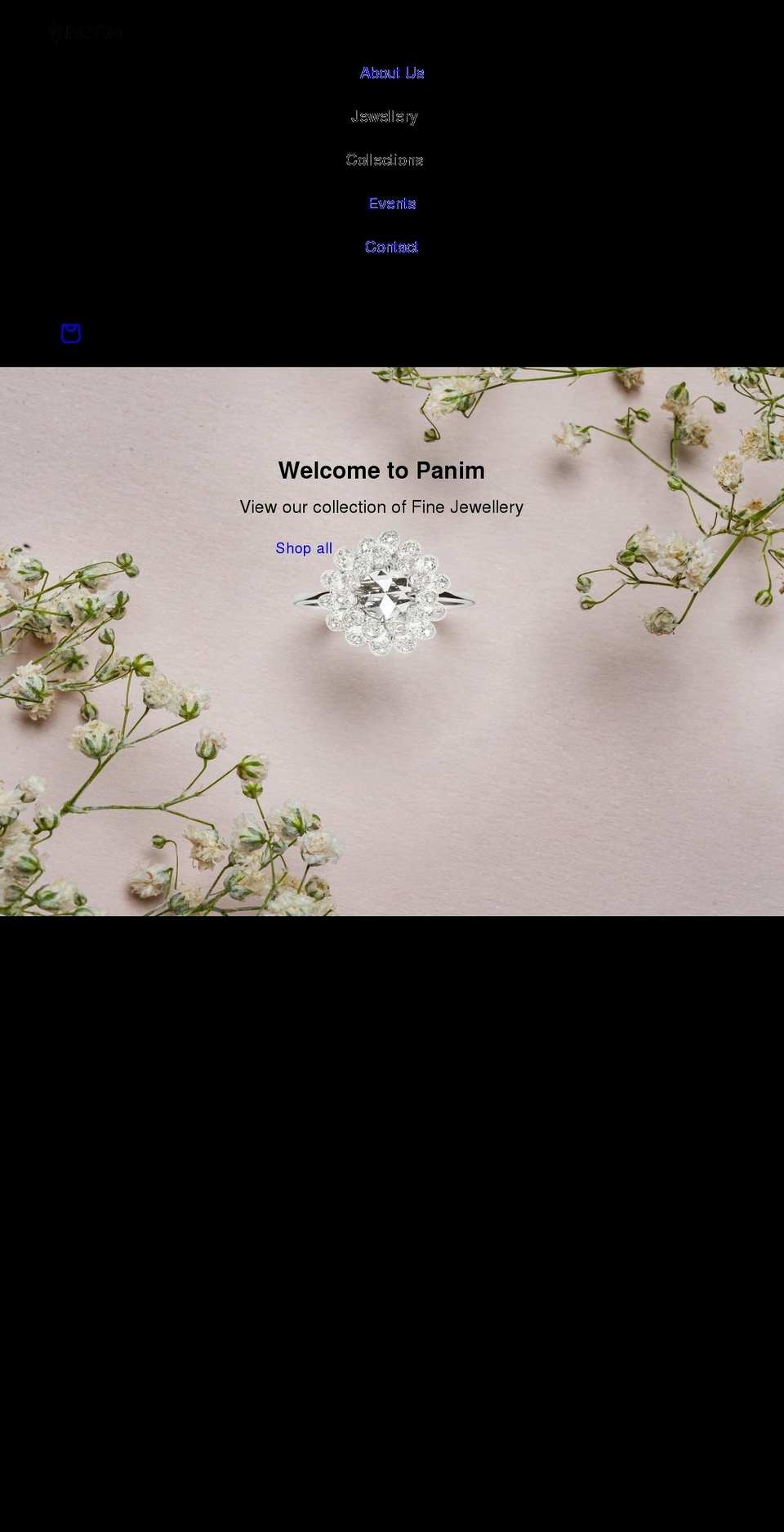 panimcreations.com shopify website screenshot