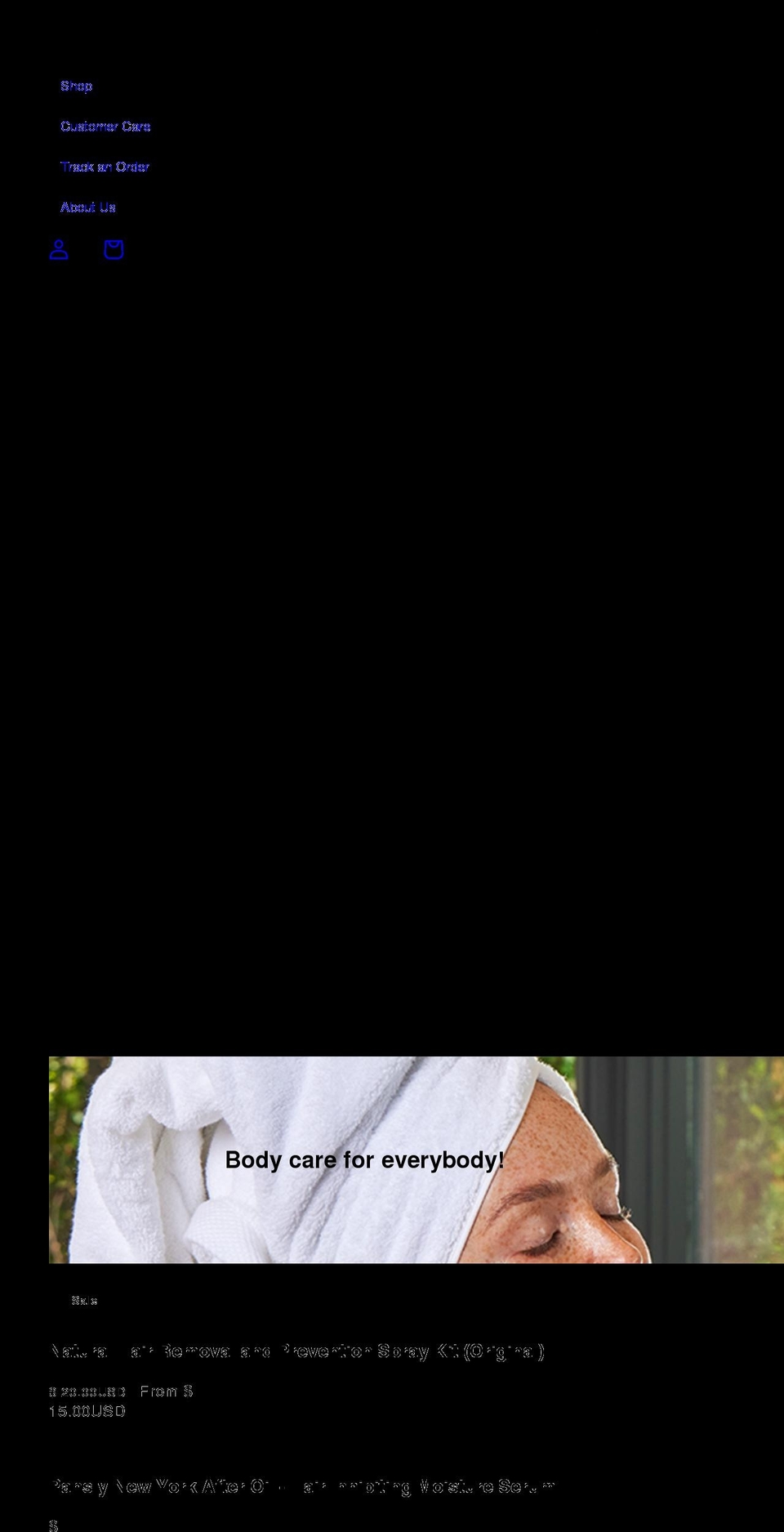 panslynewyork.com shopify website screenshot