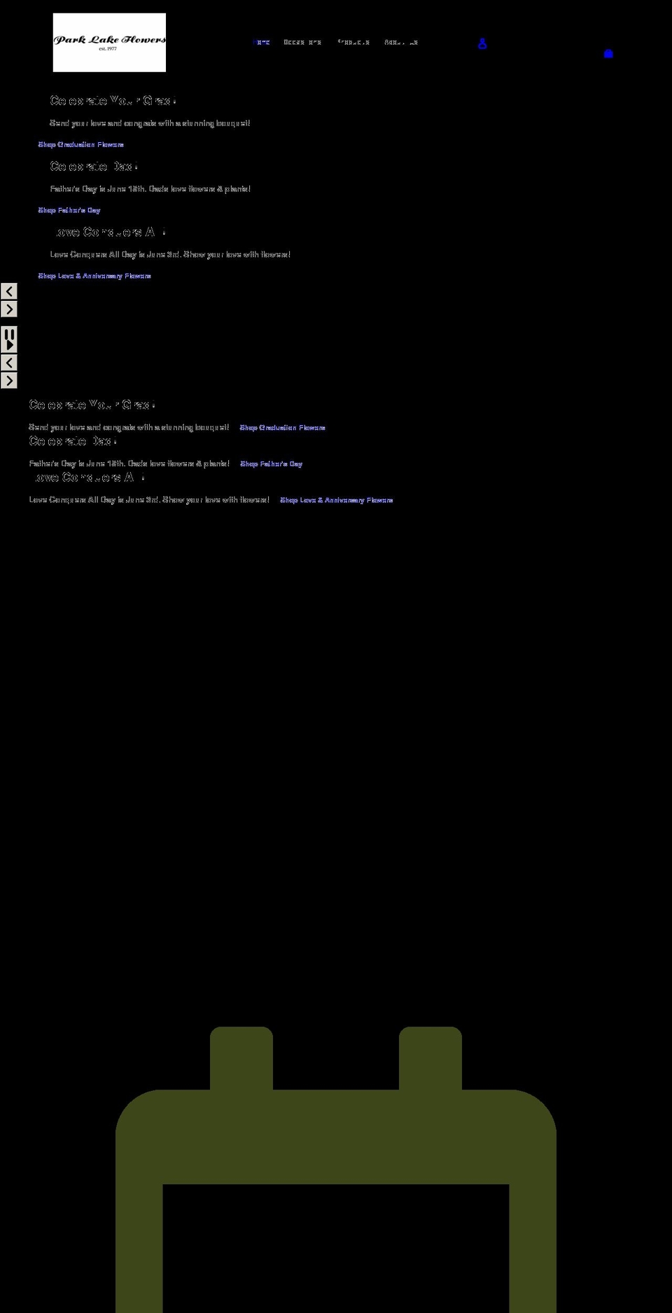 mol-standard- Shopify theme site example parklakeflowerstx.com