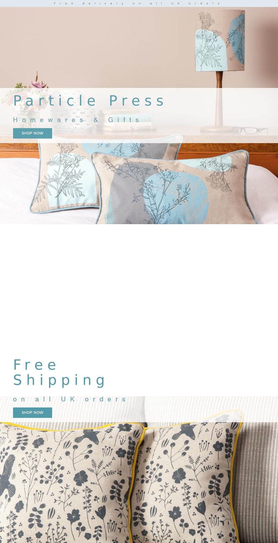 particlestore.com shopify website screenshot