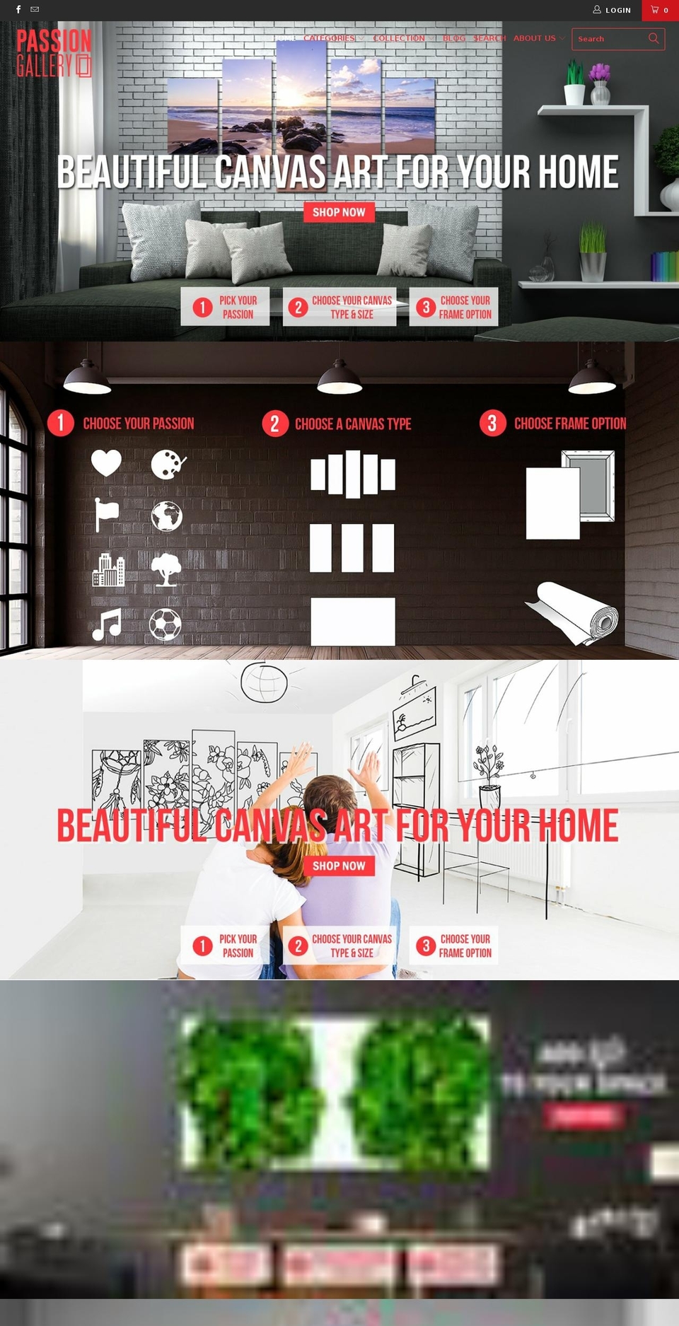 passion-gallery.com shopify website screenshot