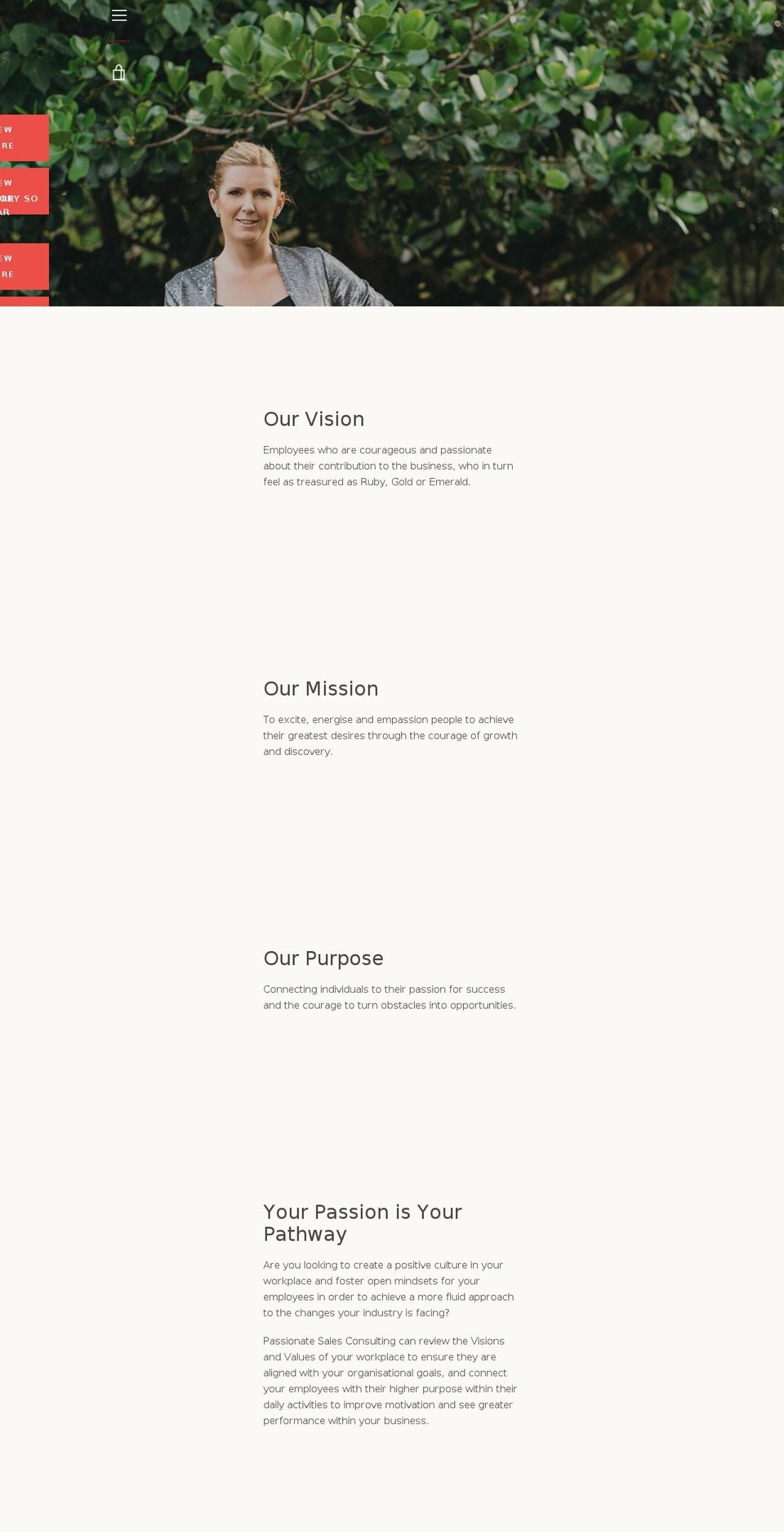 passionatesalesconsulting.com — Shopify storefront screenshot