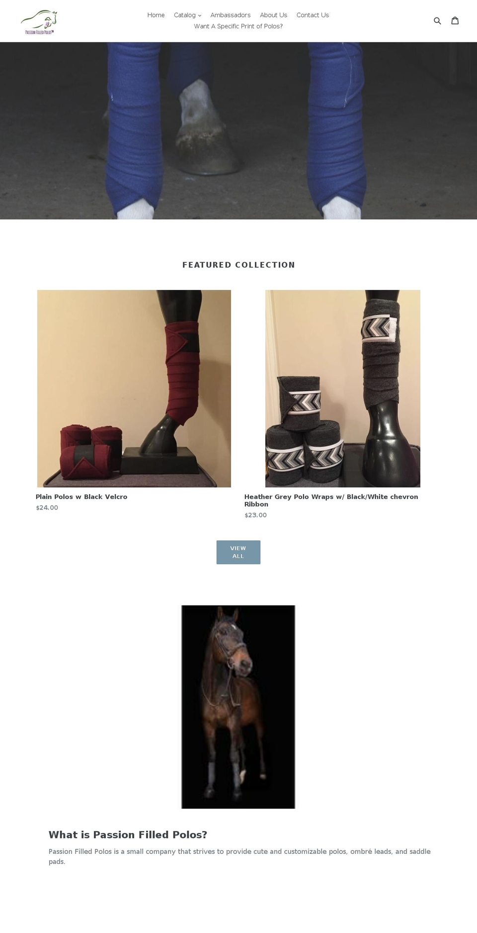 passionfilledpolos.com shopify website screenshot
