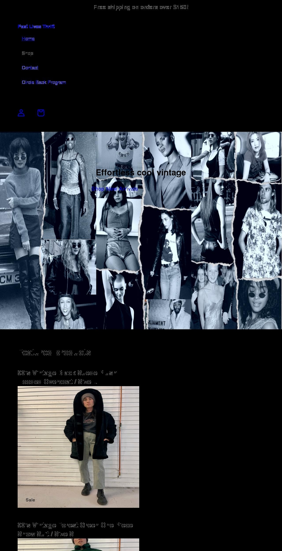 pastlivesthrift.com shopify website screenshot
