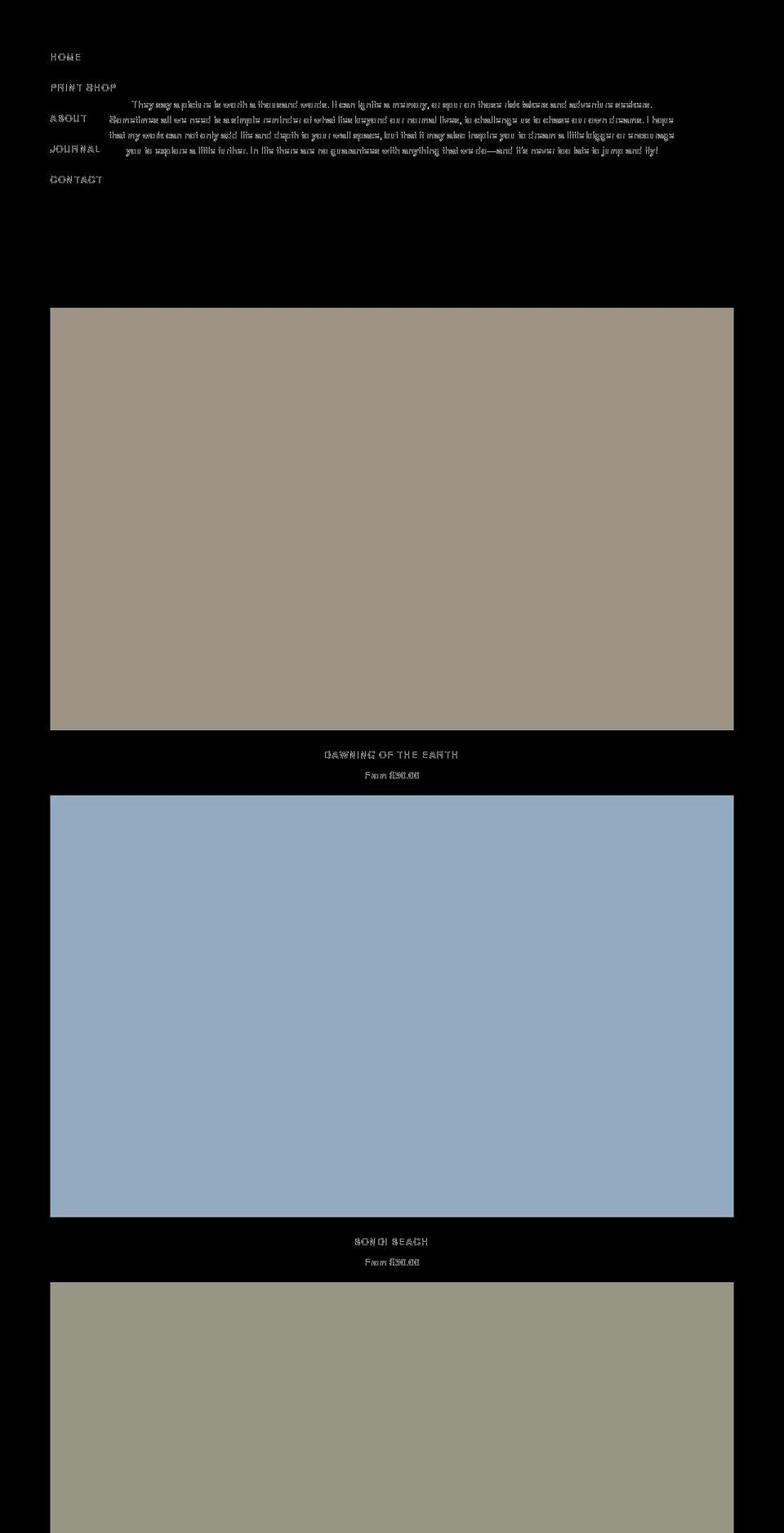 patrickcookstudio.com shopify website screenshot