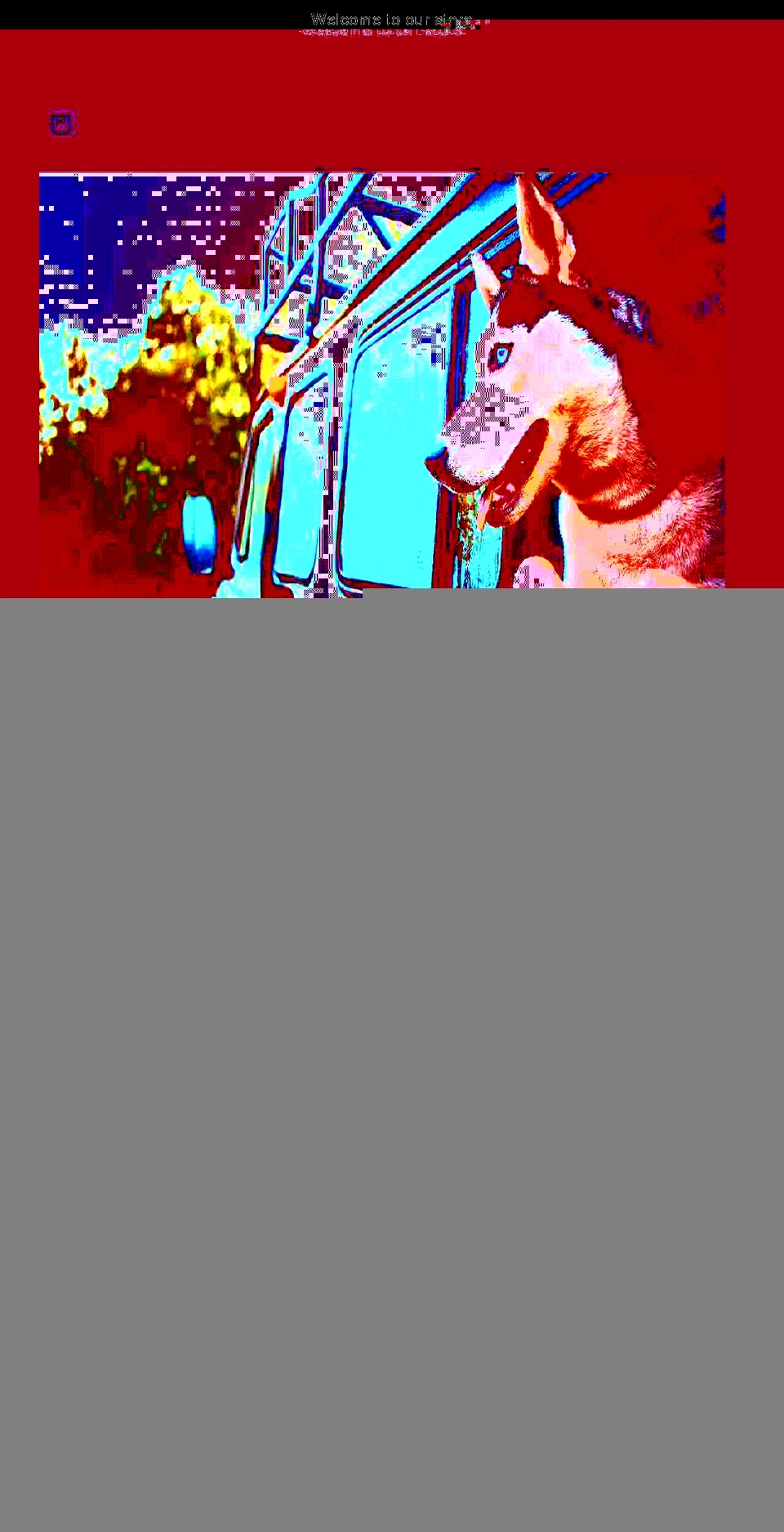 pawfullyyours.com shopify website screenshot