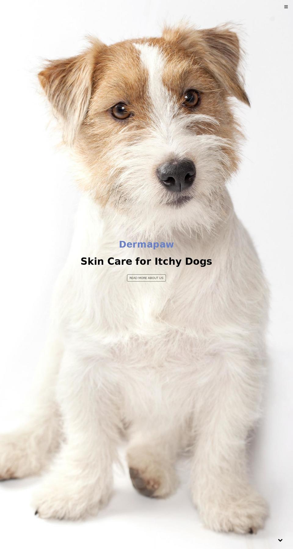 pawtreatment.com shopify website screenshot