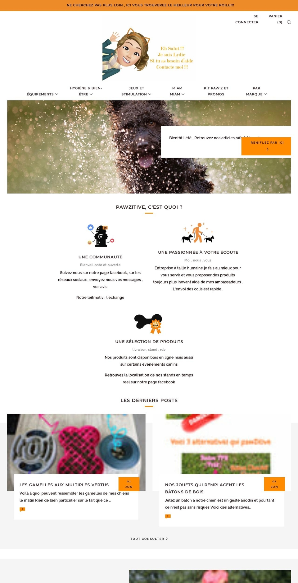 pawzitive.fr shopify website screenshot