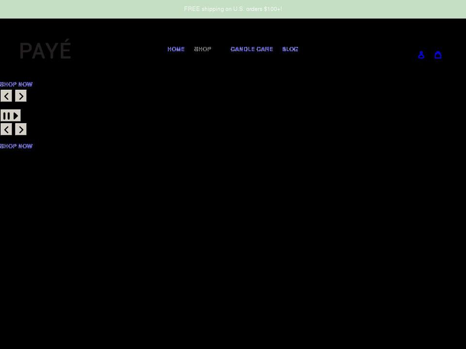 payedesigns.com shopify website screenshot