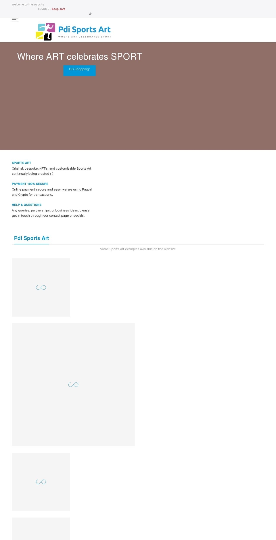 pdisportsart.com shopify website screenshot