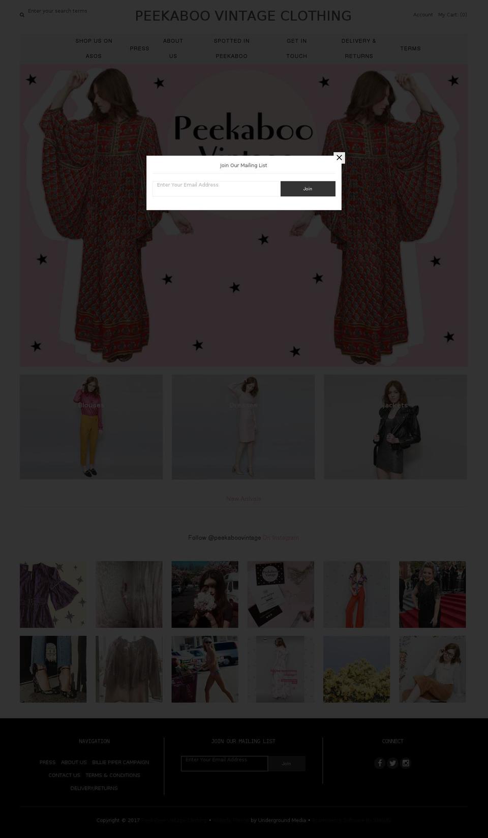 peekaboovintageclothing.com shopify website screenshot