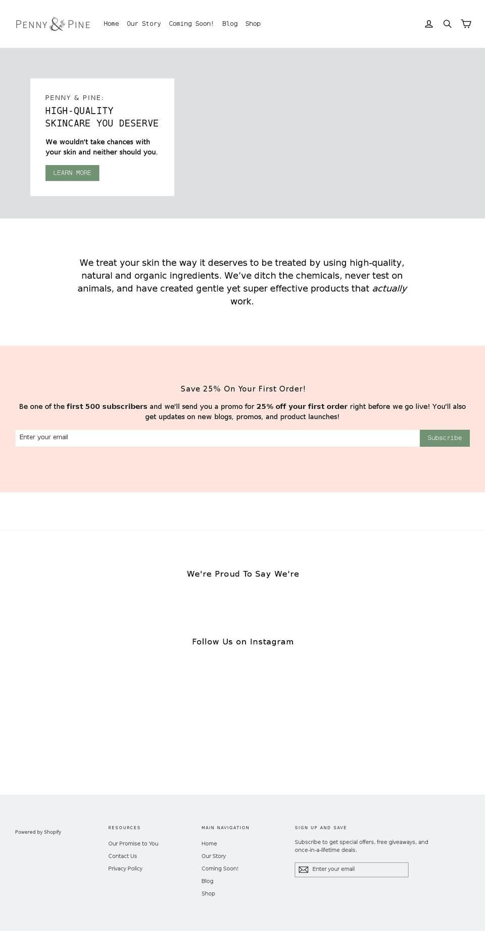 pennyandpine.com shopify website screenshot