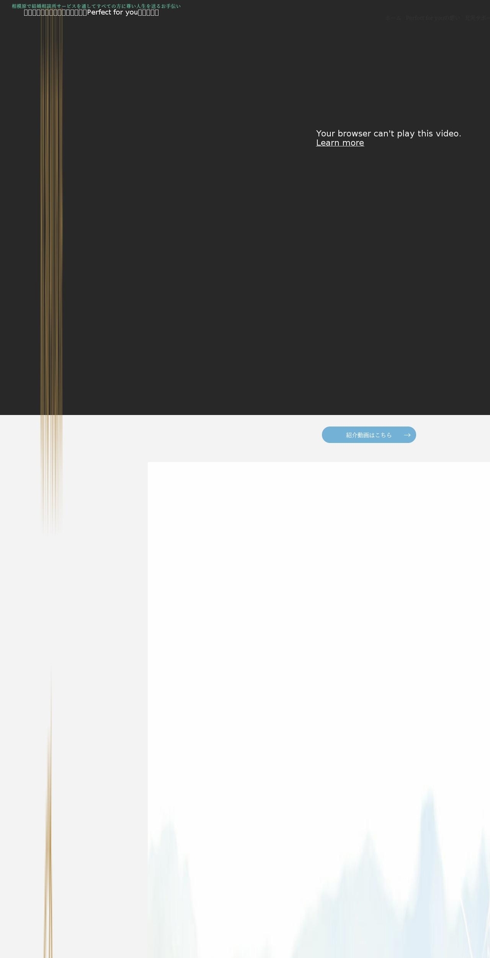perfect-foryou.com — Shopify storefront screenshot