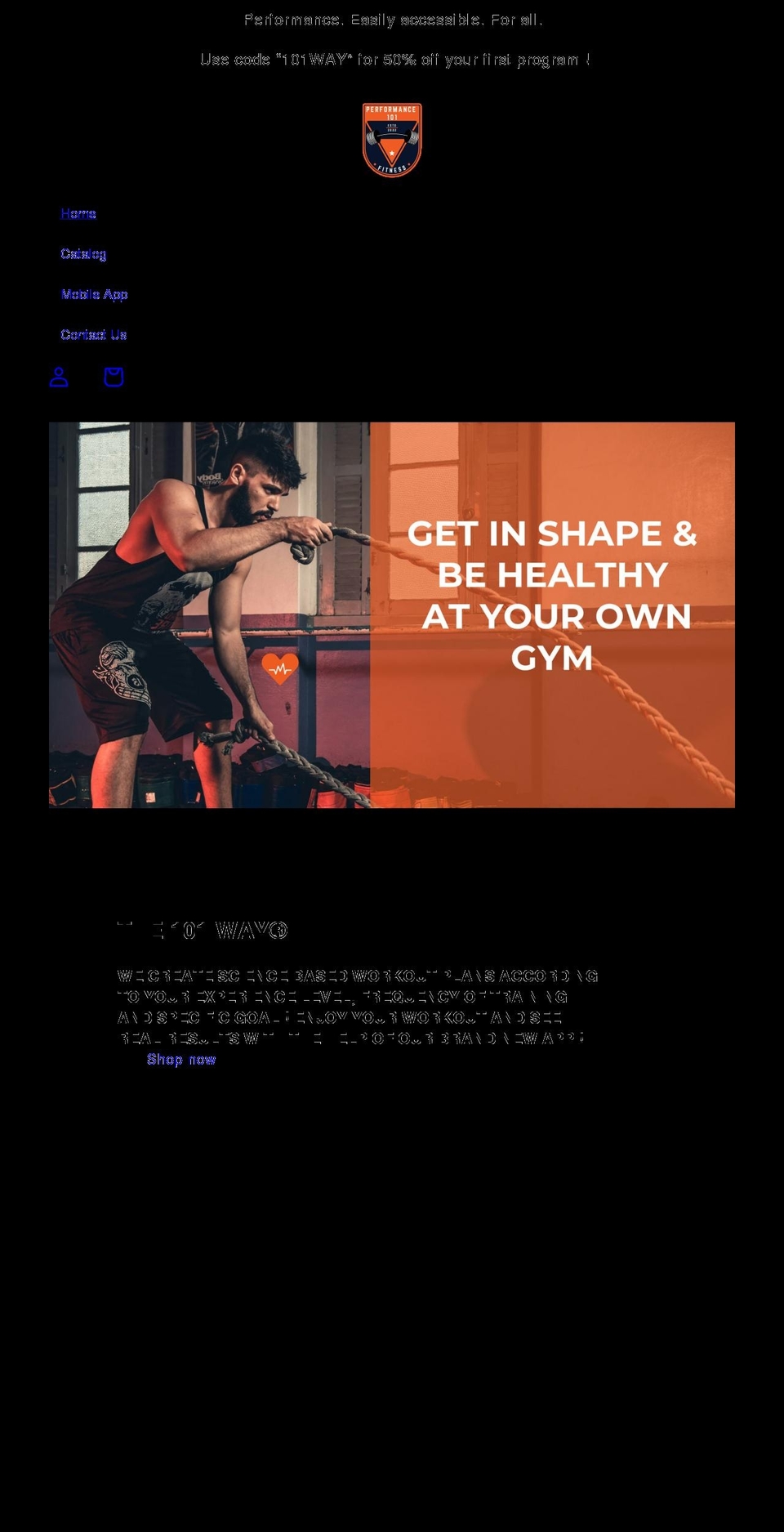 performance101.ca shopify website screenshot