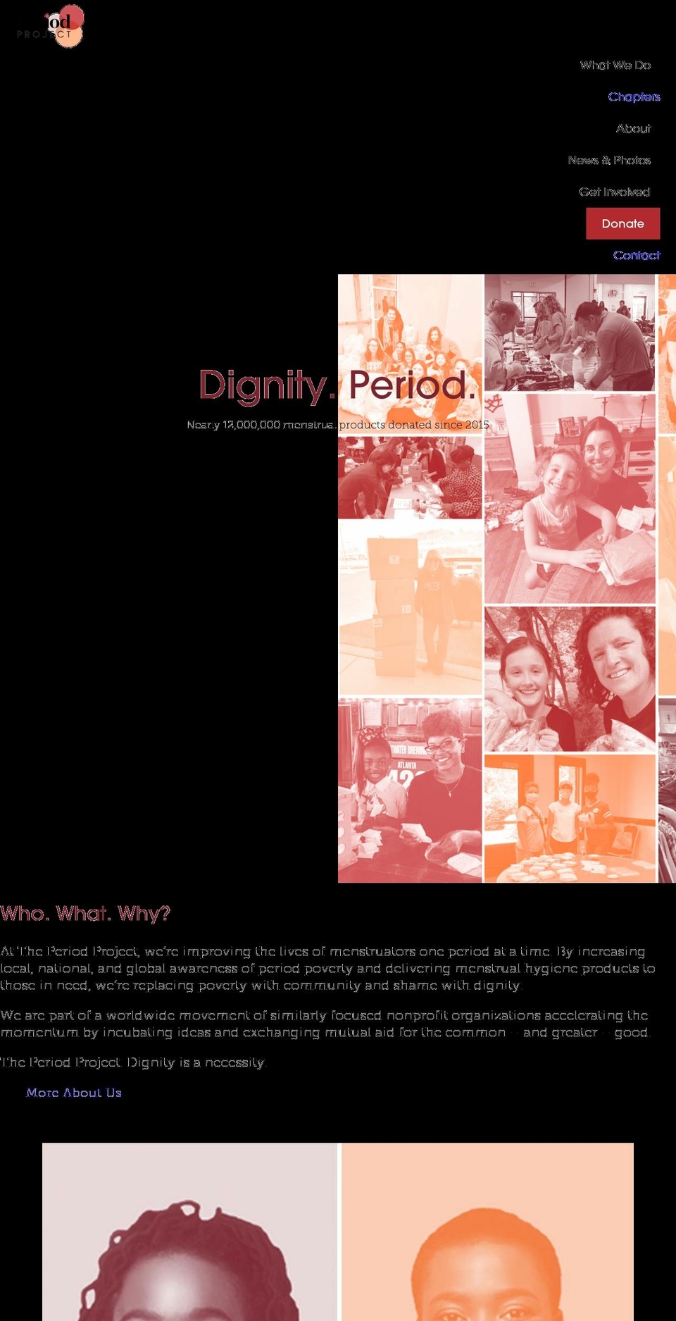 periodproject.org shopify website screenshot