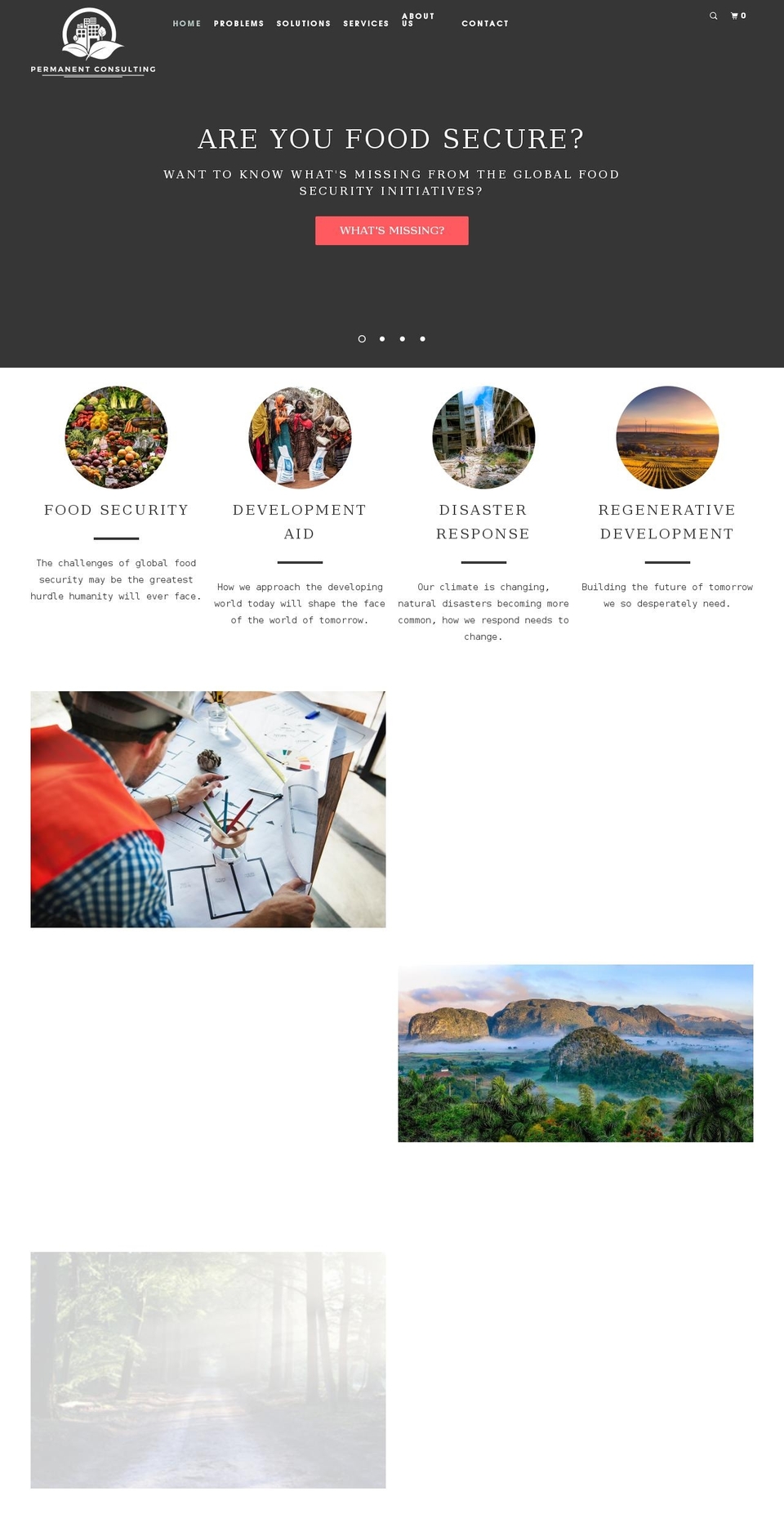 permanentconsulting.com shopify website screenshot