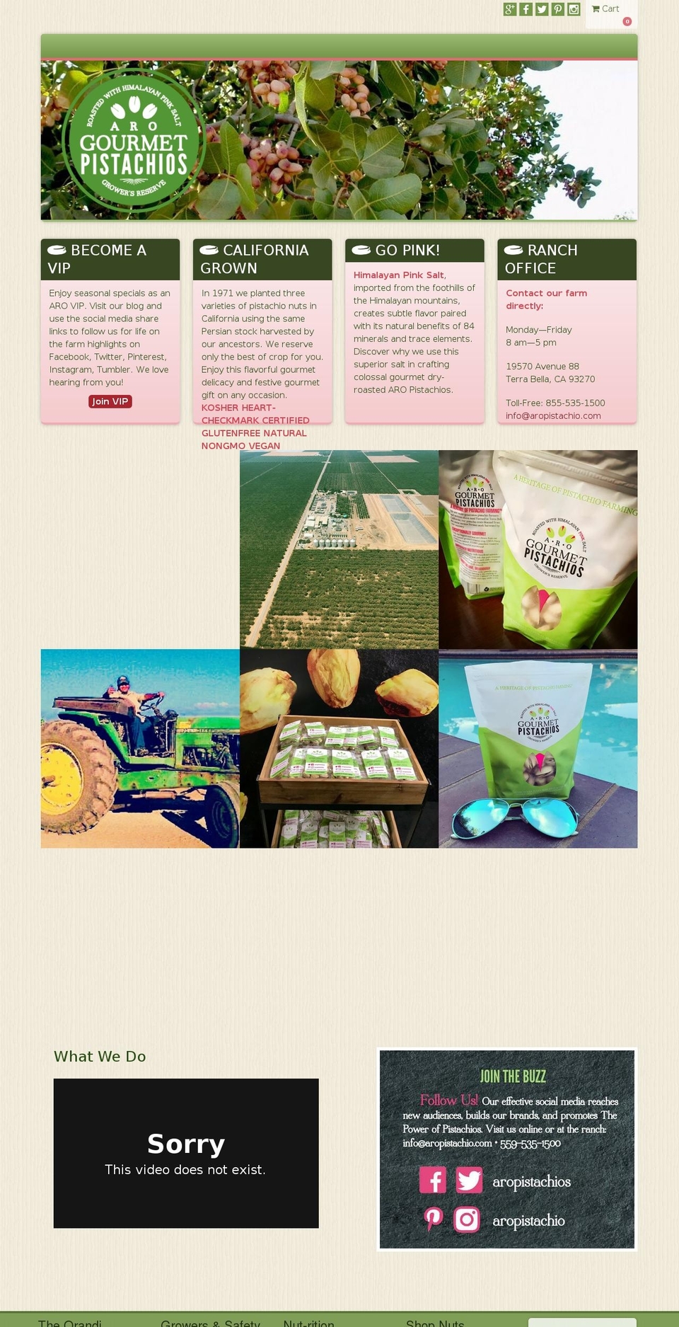 aro-responsive-layout Shopify theme site example persiangourmetpistachios.com