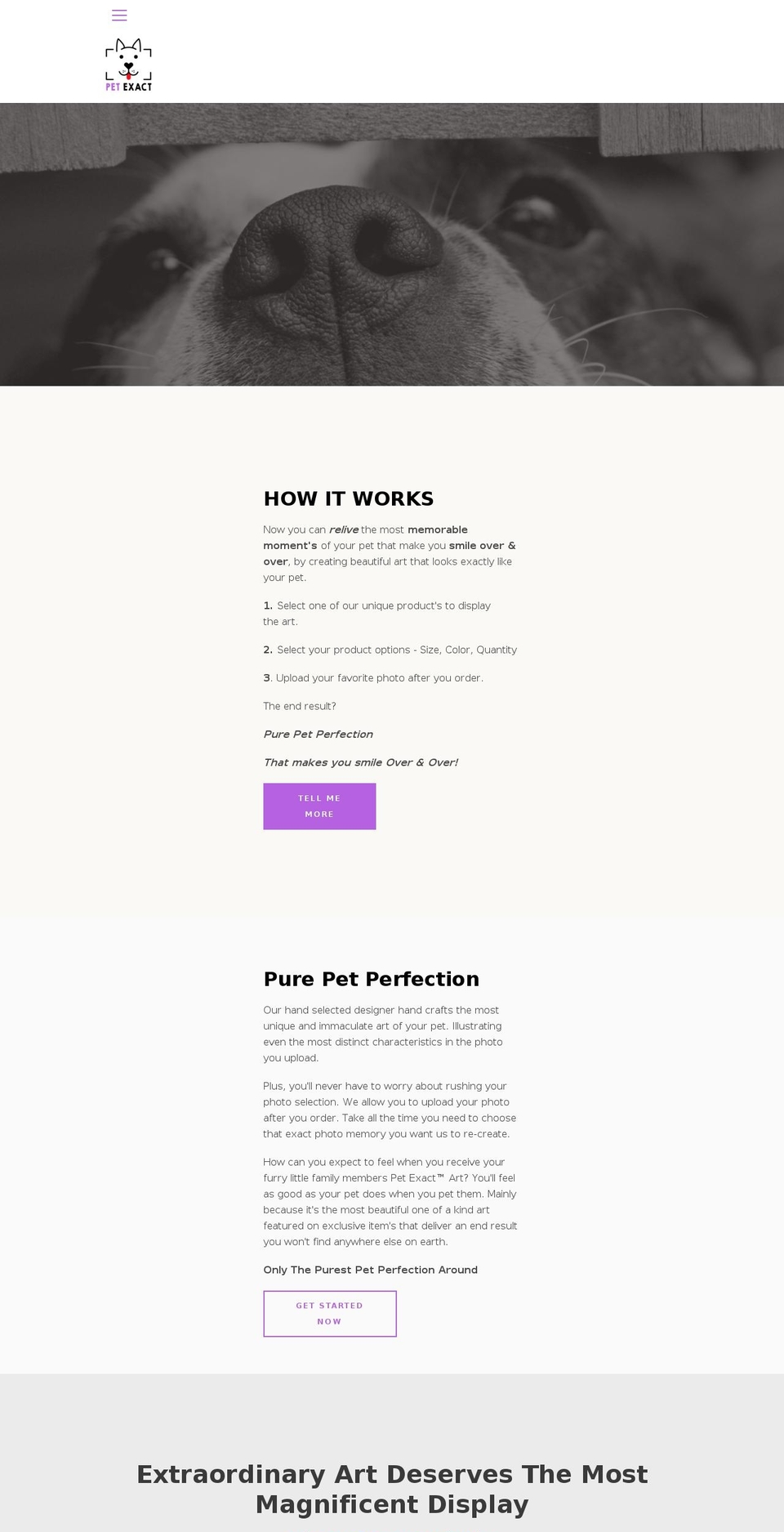 petexact.com — Shopify storefront screenshot