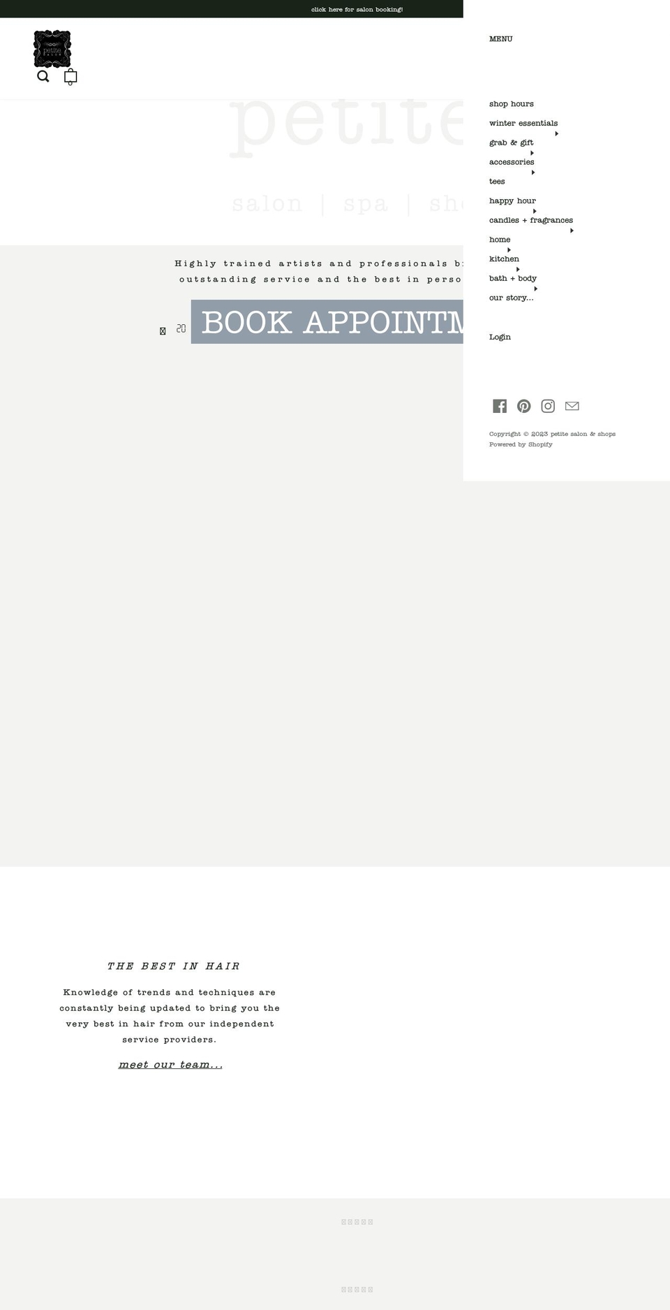 petitesalon.com shopify website screenshot