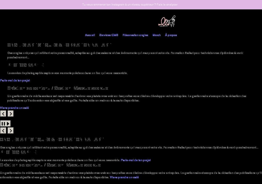 petitsalonmademoiselle.com shopify website screenshot