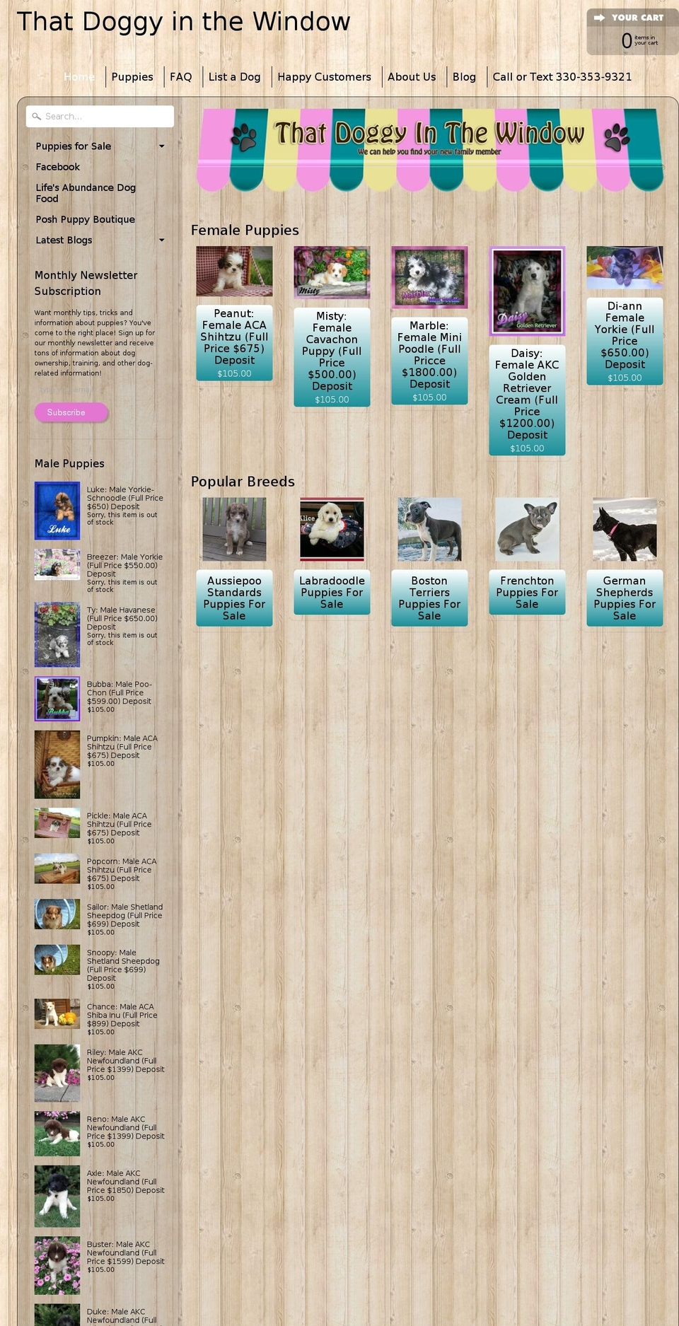 pettoysinthewindow.com — Shopify storefront screenshot