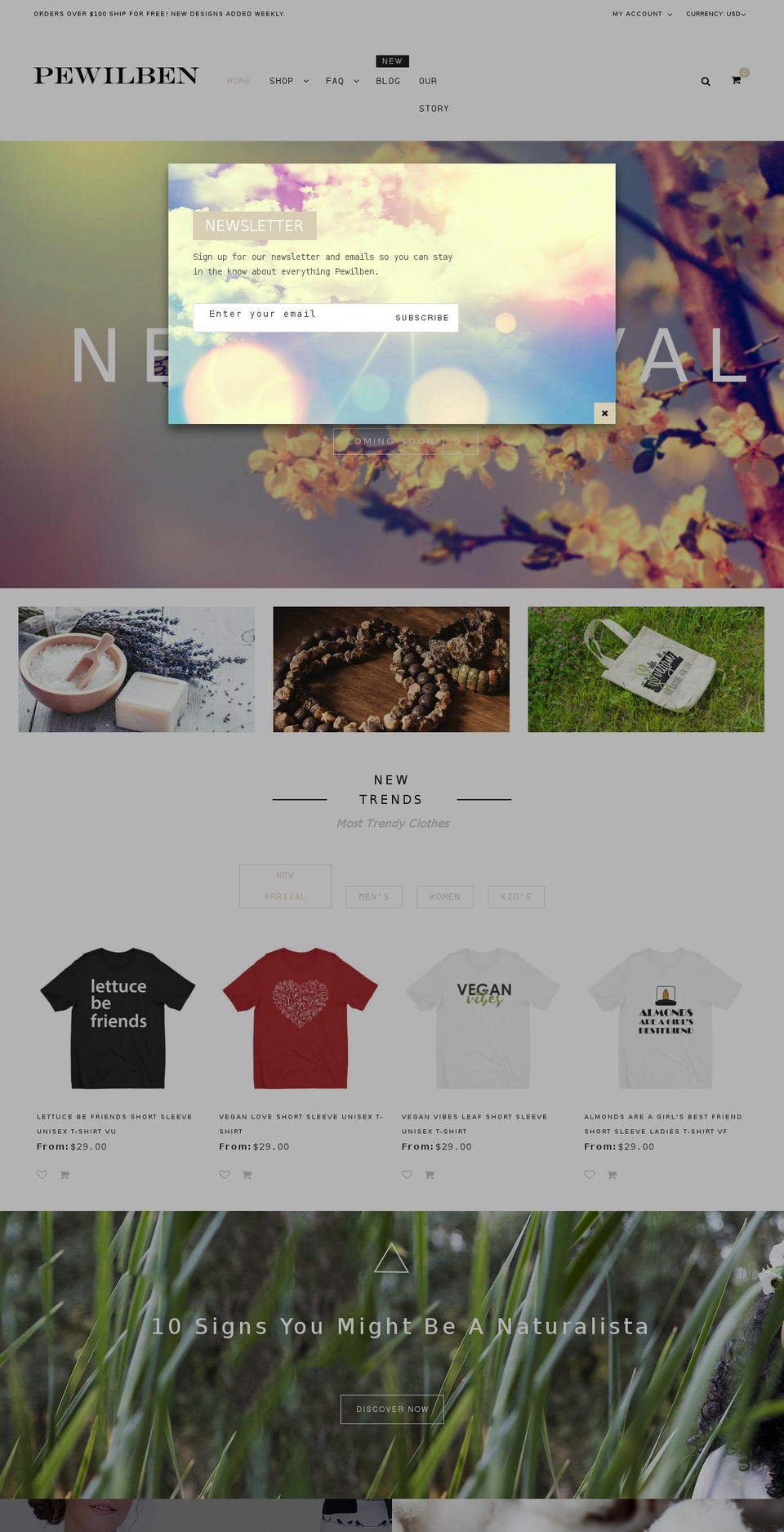 bazien-layout-1 Shopify theme site example pewilben.com