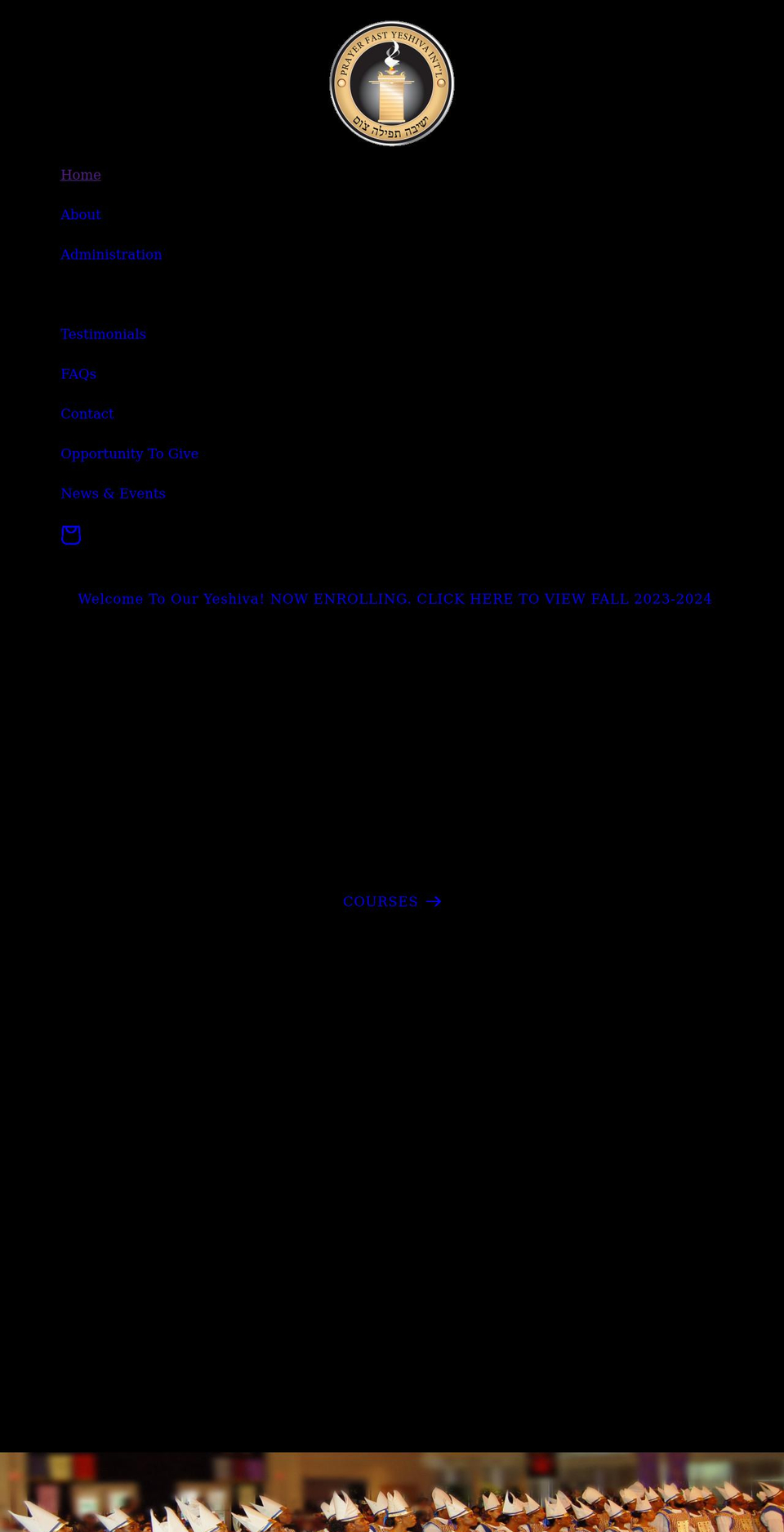 pfyi.org shopify website screenshot