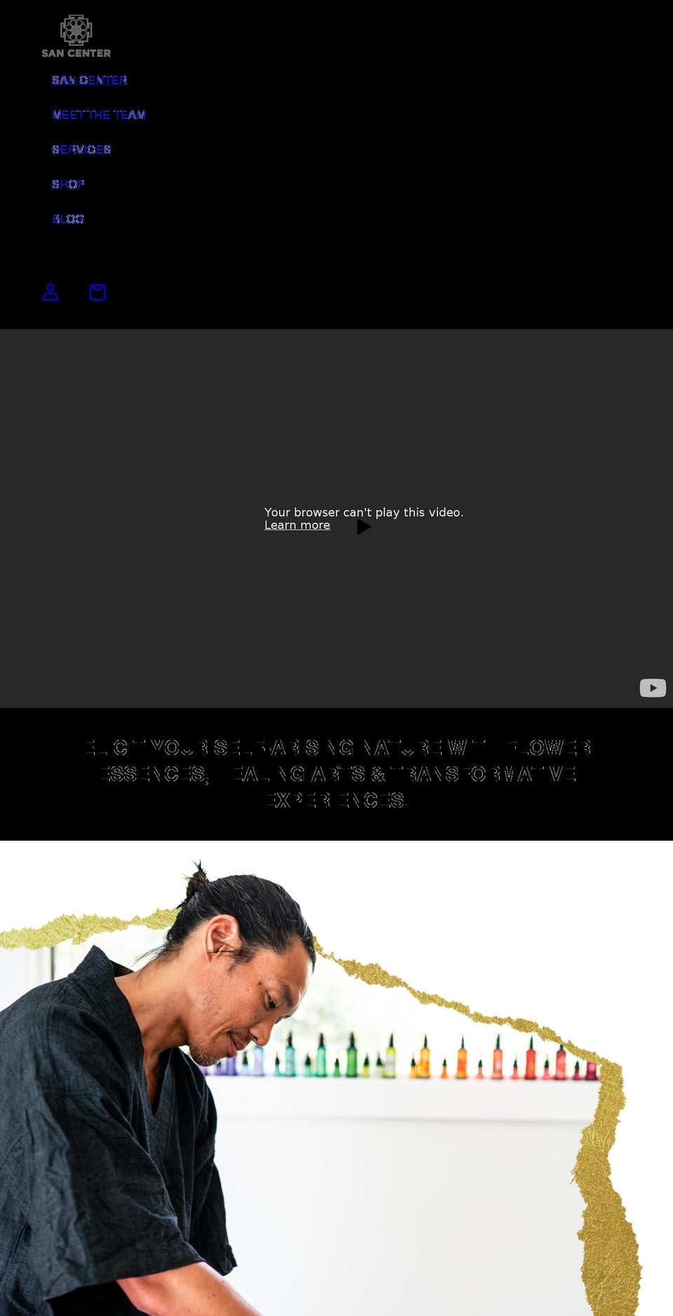 phoenixwellnesshub.com — Shopify storefront screenshot