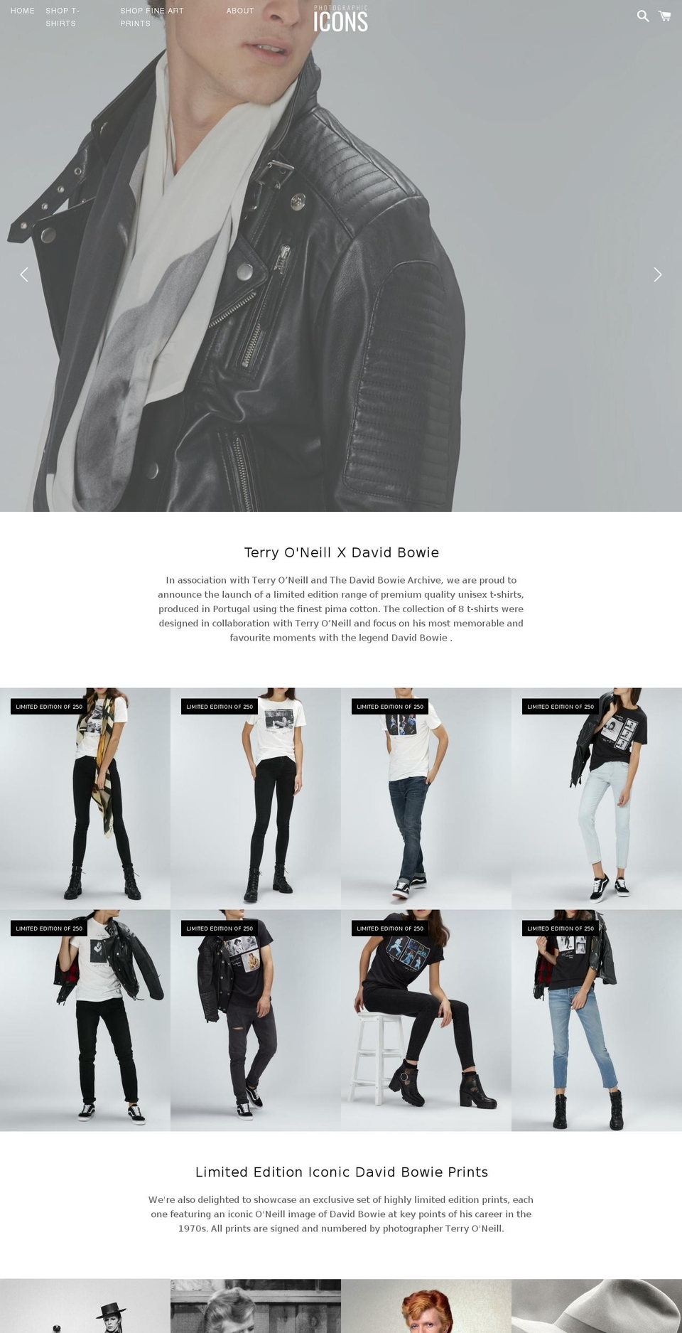 photographicicons.com shopify website screenshot