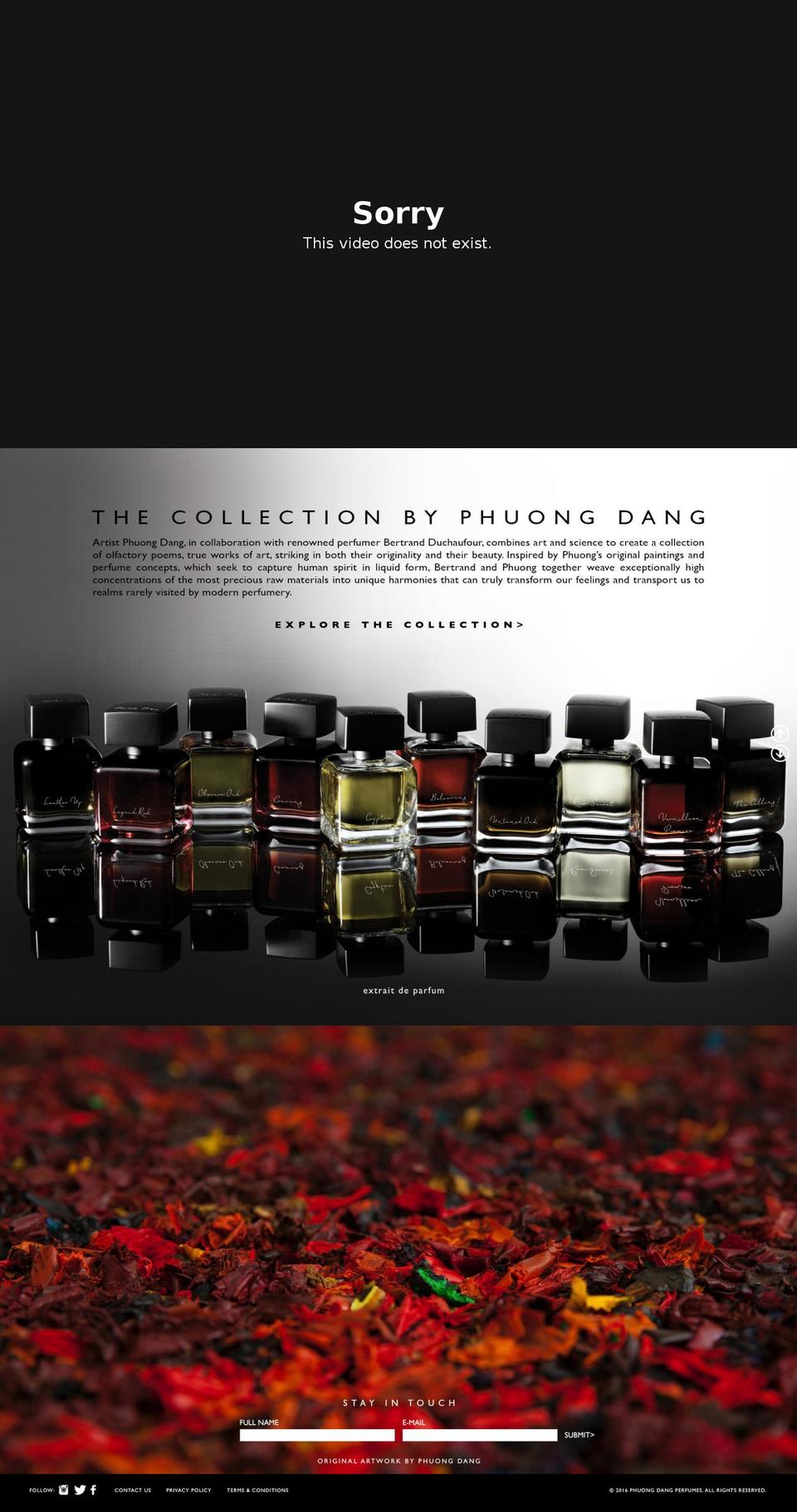 phuongdang.com shopify website screenshot