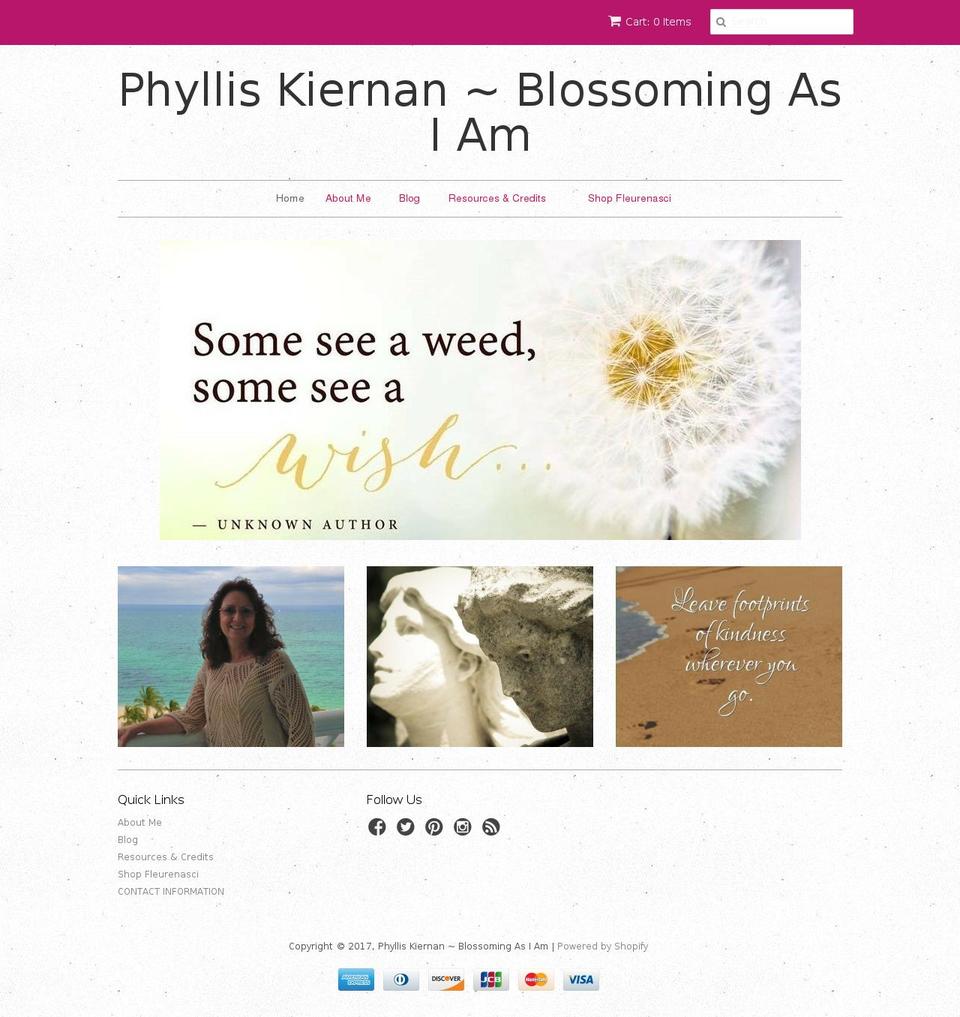 phylliskiernan.com shopify website screenshot