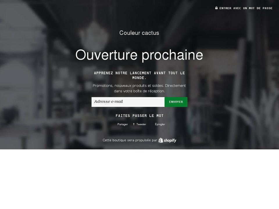 picandbuy.com — Shopify storefront screenshot