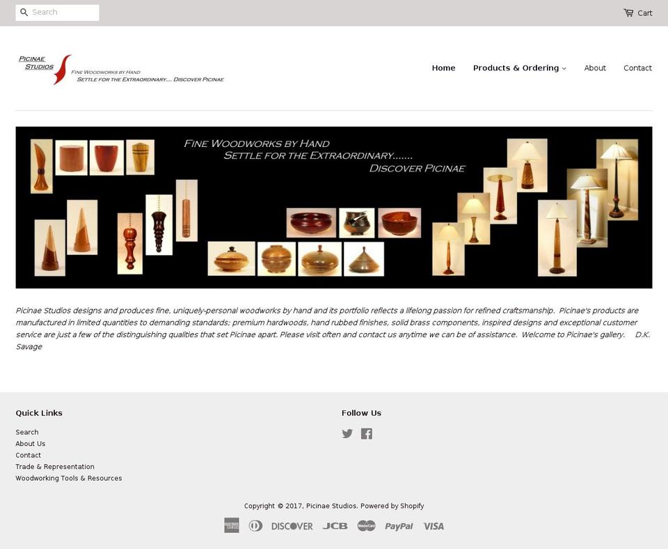 picinaestudios.com shopify website screenshot