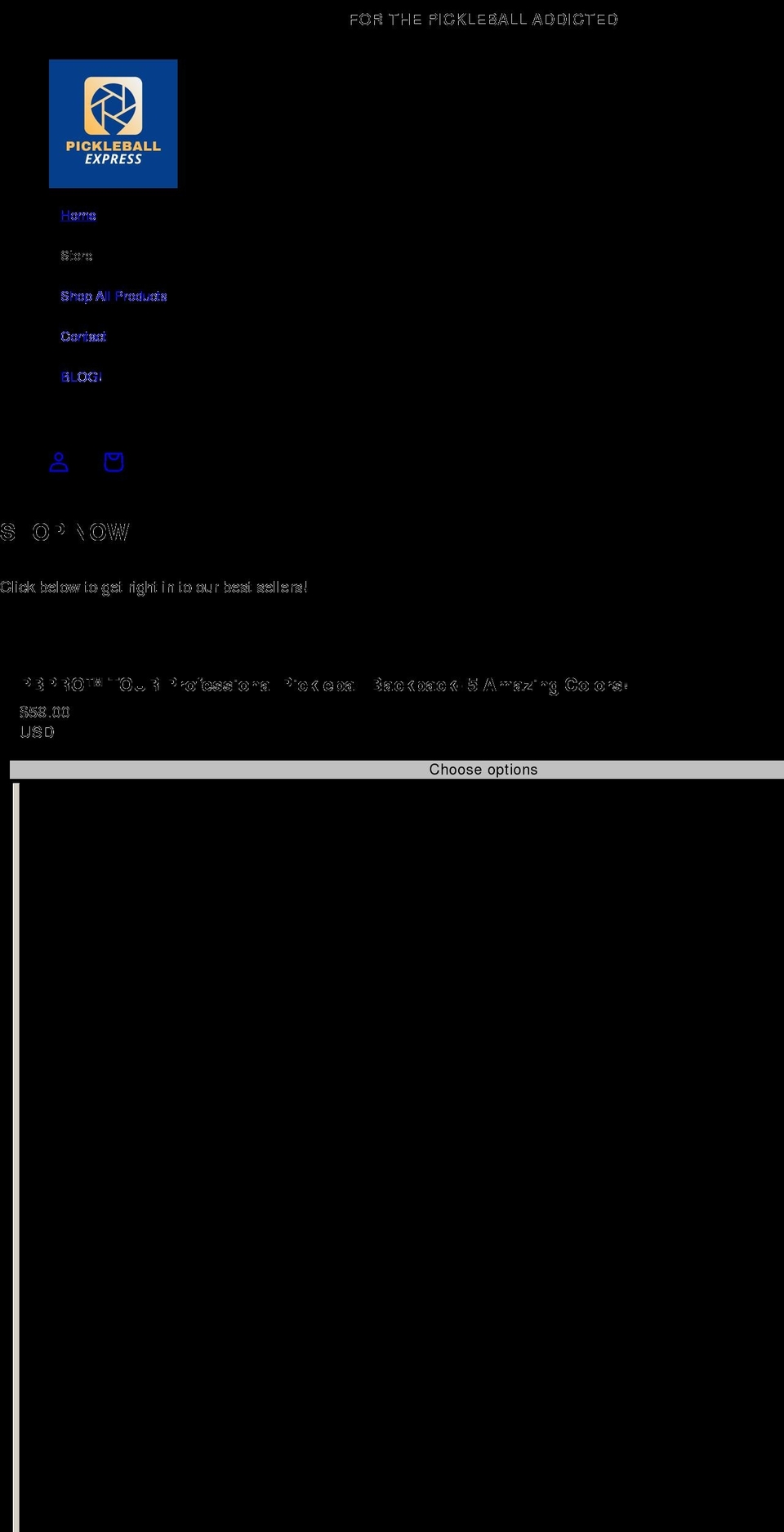 pickleball-express.com shopify website screenshot