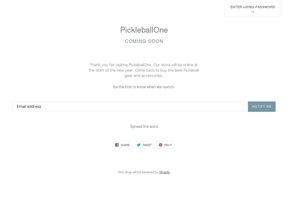 pickleballone.com — Shopify storefront screenshot
