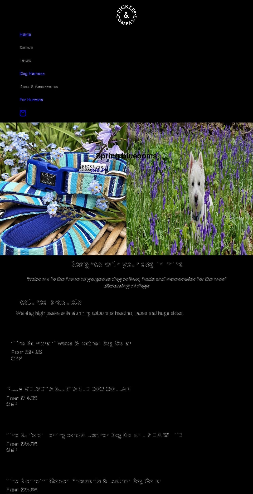 picklesandcompany.co.uk shopify website screenshot