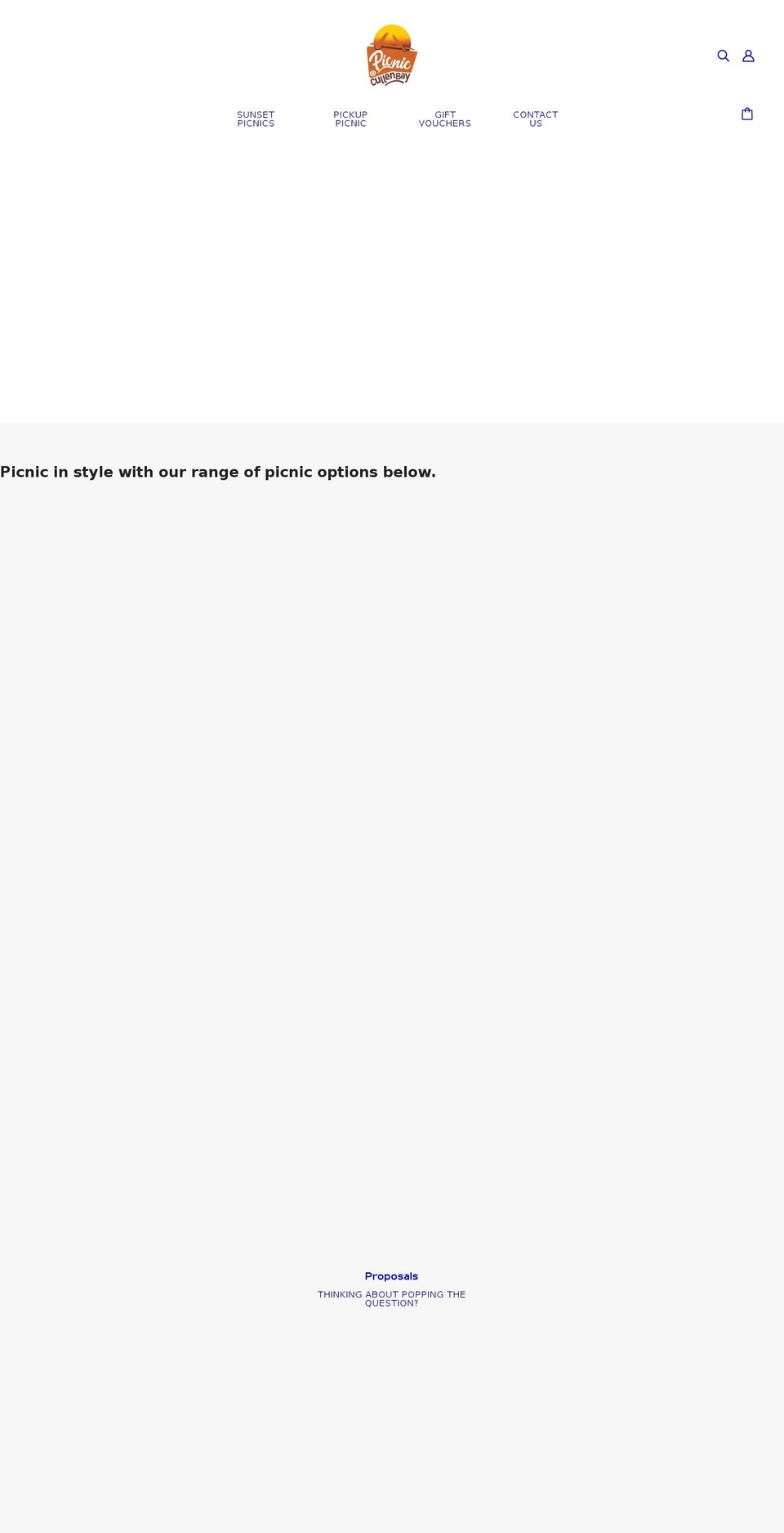 picnicatcullen.com shopify website screenshot