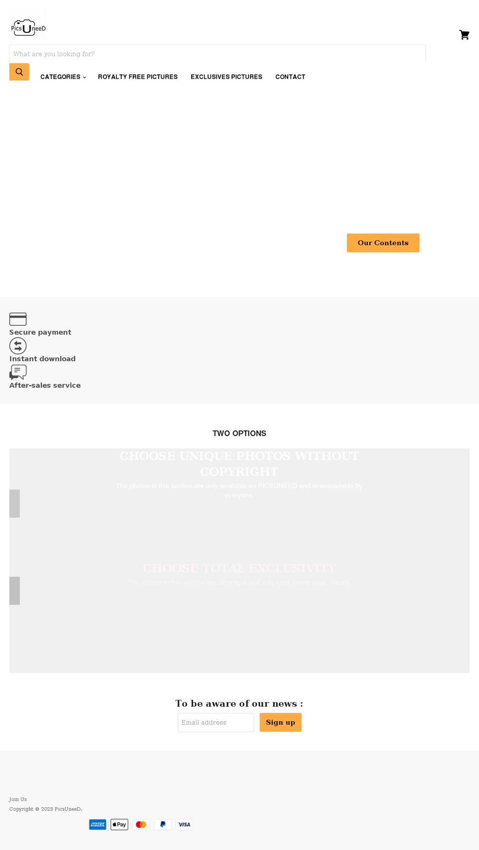 picsuneed.com shopify website screenshot