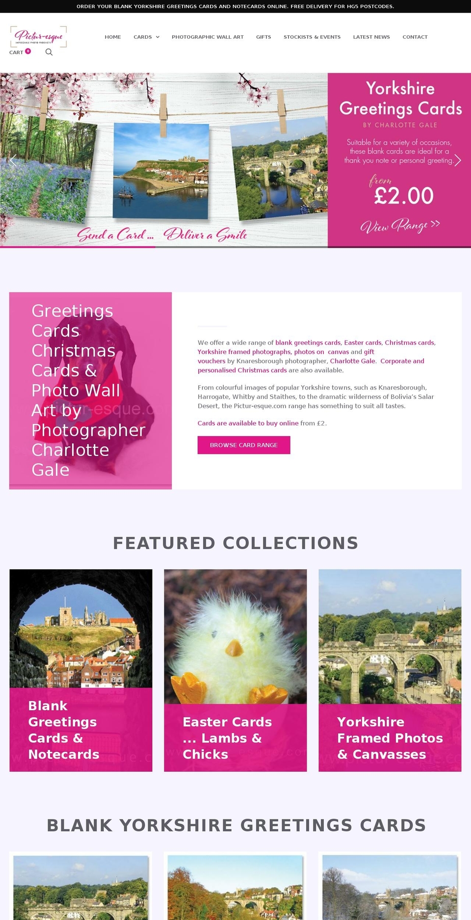 pictur-esque.com shopify website screenshot