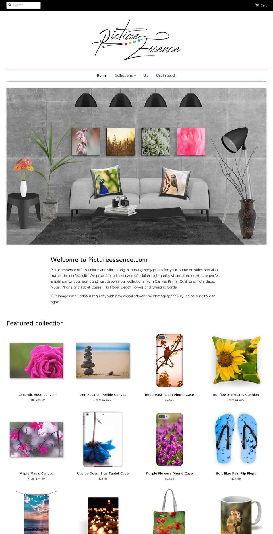 pictureessence.com — Shopify storefront screenshot