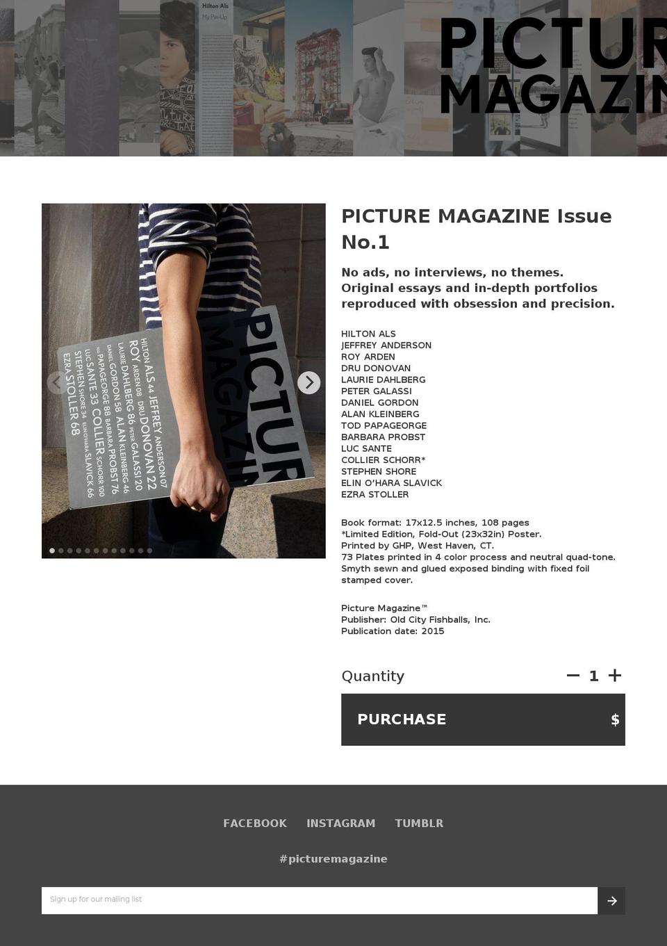 picturemagazine.org shopify website screenshot