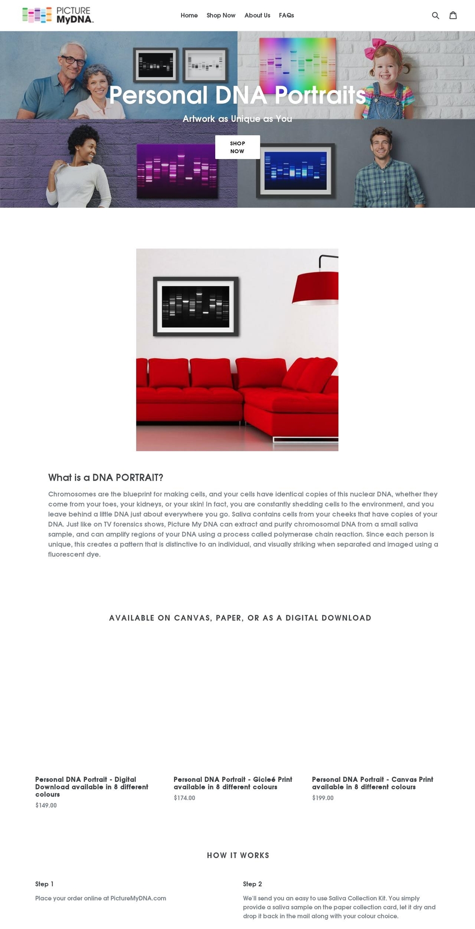 picturemydna.com shopify website screenshot
