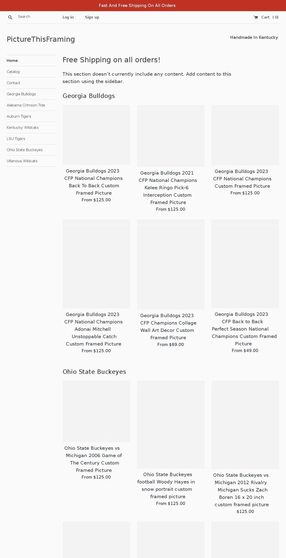 picturethisframingstore.com shopify website screenshot