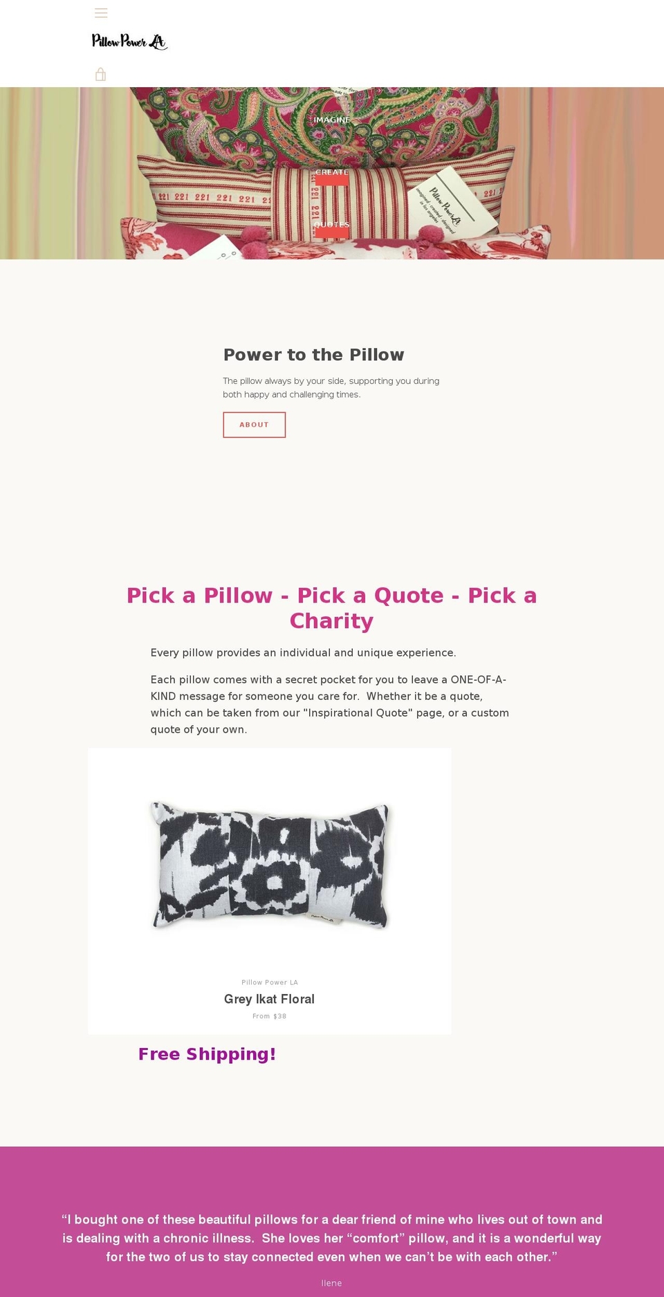 pillowpowerla.com — Shopify storefront screenshot