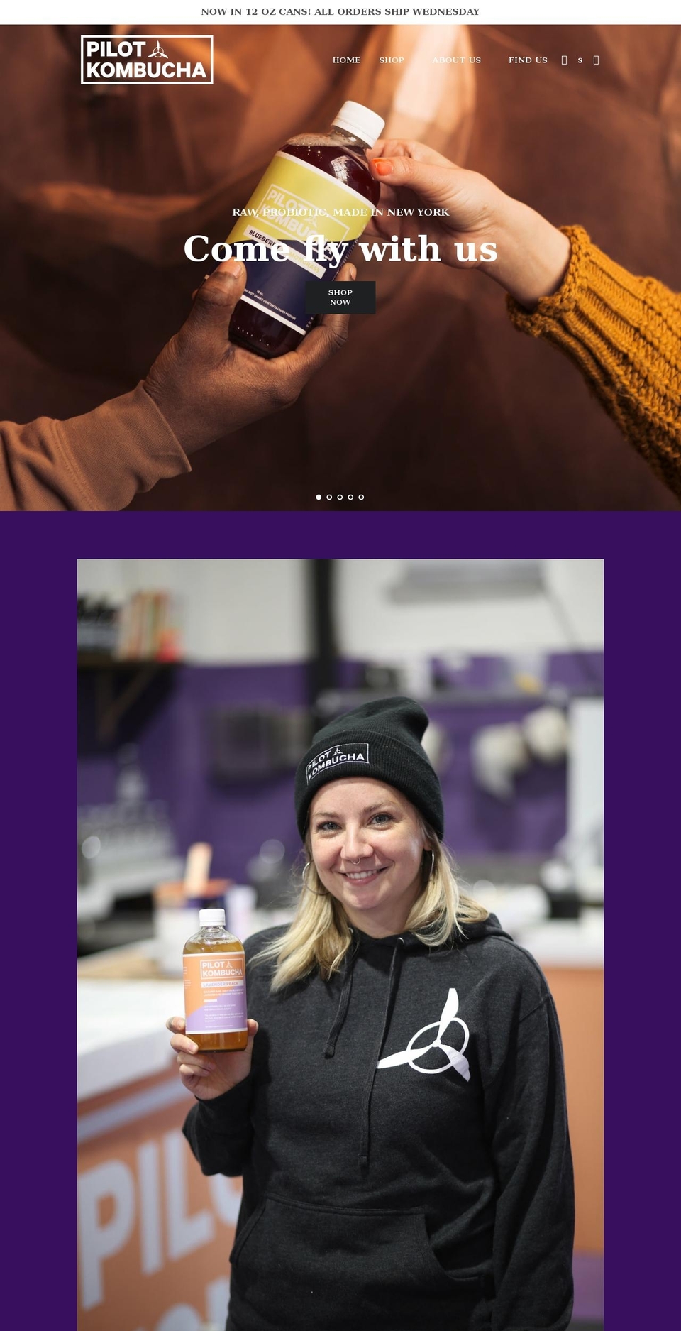pilotkombucha.com shopify website screenshot