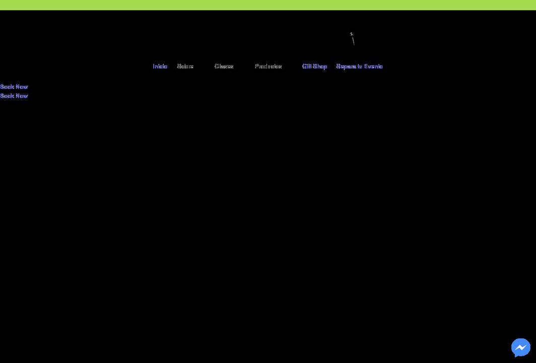 pinceladasartstudiopr.com shopify website screenshot